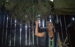 Về Buôn Đôn nghe thợ săn voi kể chuyện